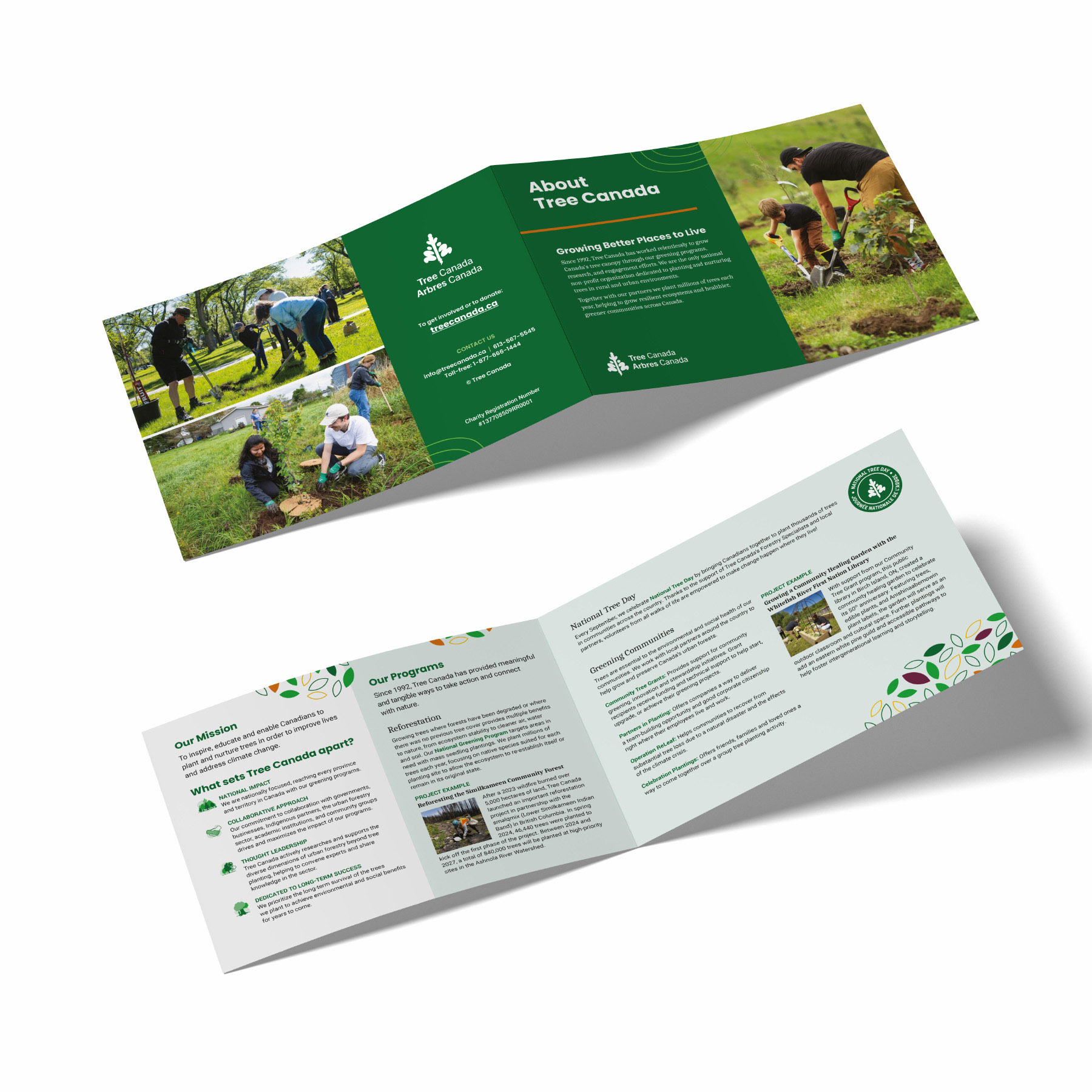 Image for Cyan Solutions, Ottawa's case study on their work for Tree Canada