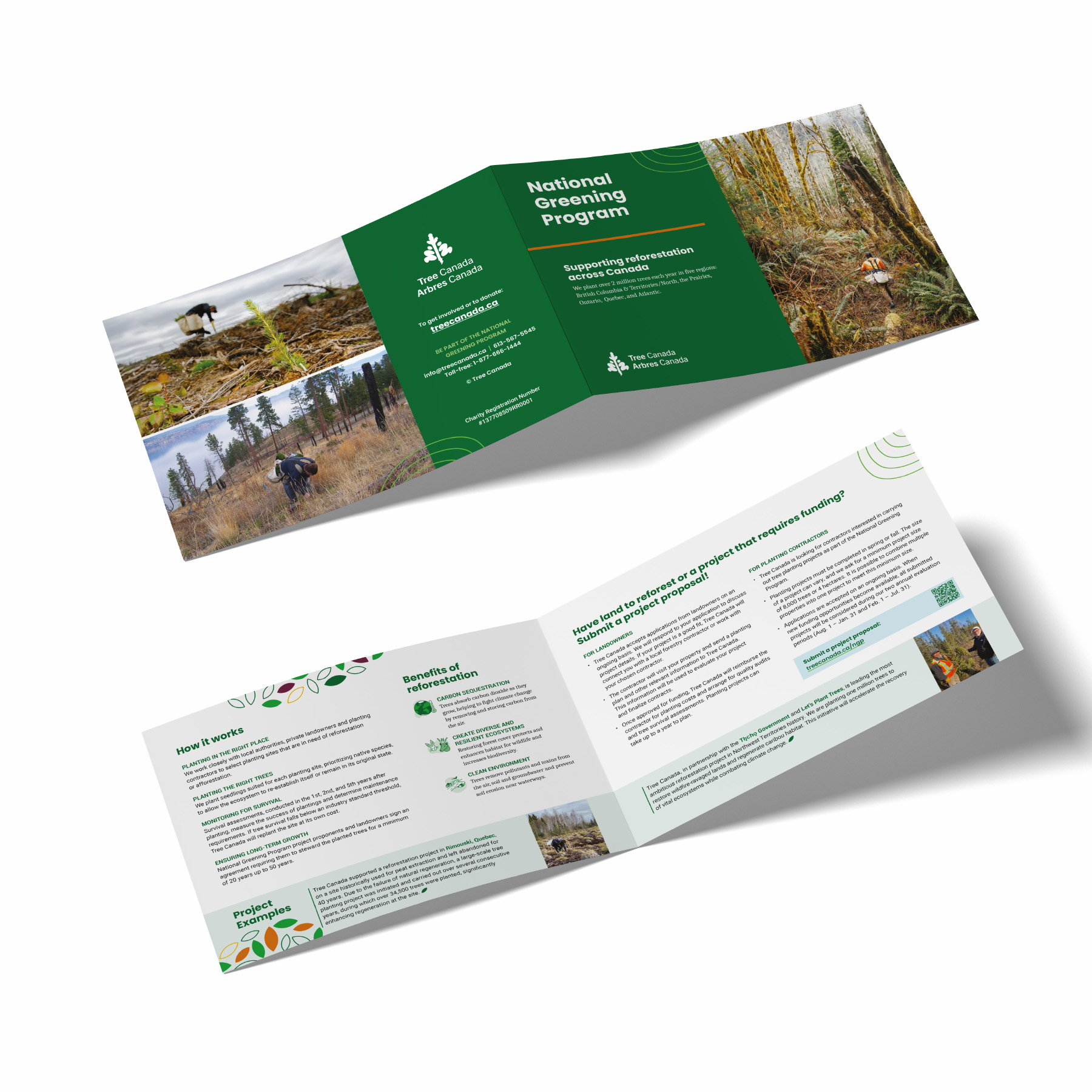 Image for Cyan Solutions, Ottawa's case study on their work for Tree Canada