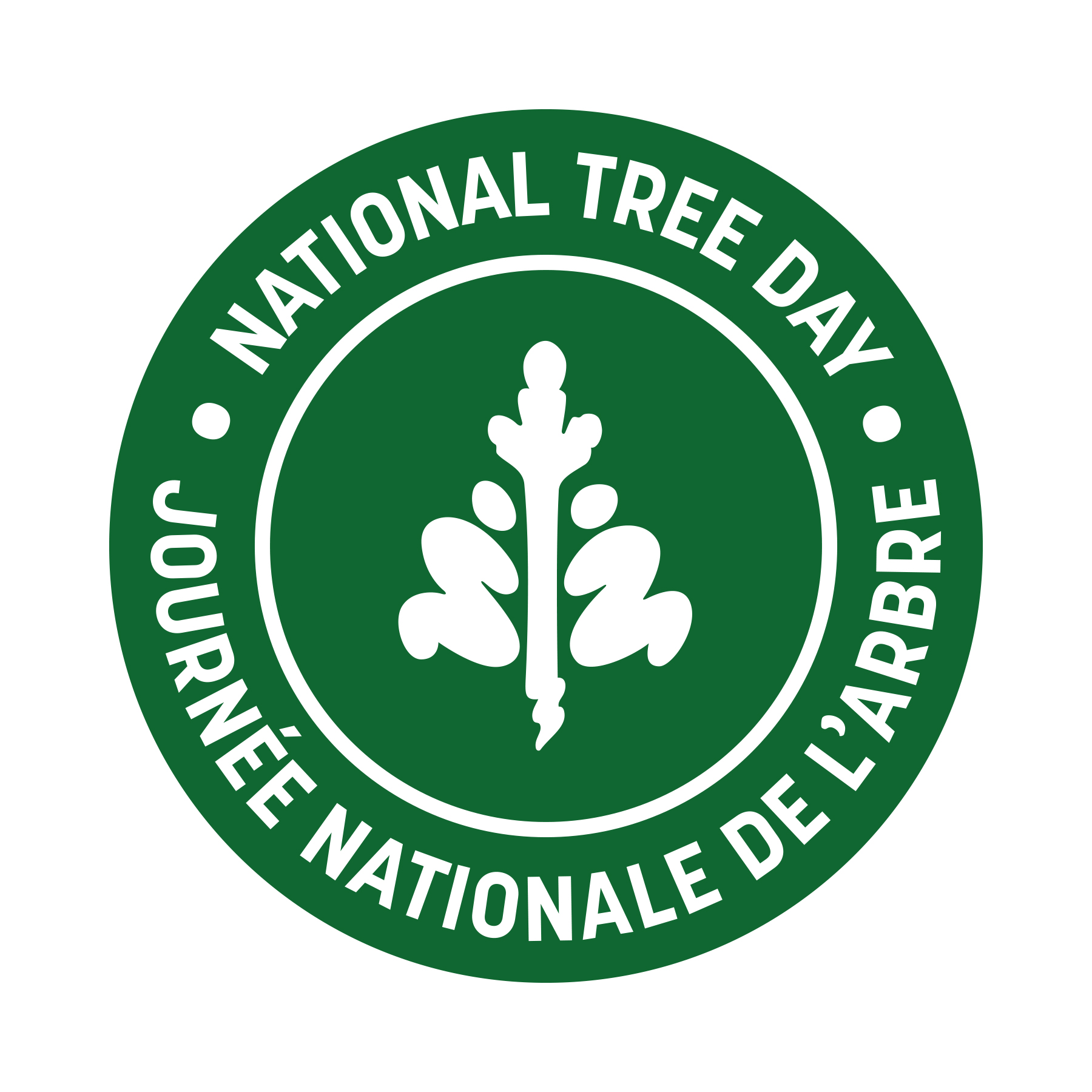 Image for Cyan Solutions, Ottawa's case study on their work for Tree Canada