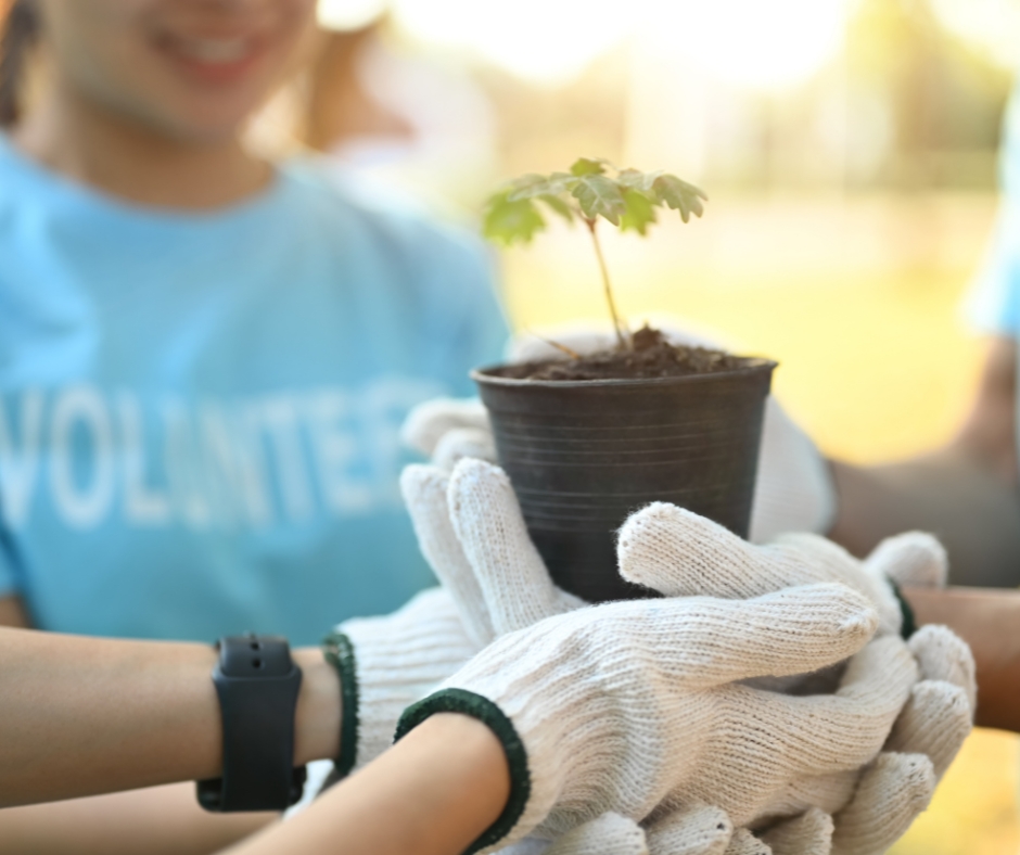 Blog Image for Cyan Solutions blog on Google for Nonprofits